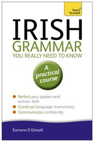 Irish Grammar You Really Need to Know (Teach Yourself Language)