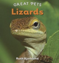 Lizards (Great Pets)