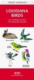 Louisiana Birds: An Introduction to Familiar Species (Pocket Naturalist)