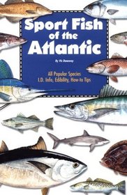 Sport Fish of the Atlantic