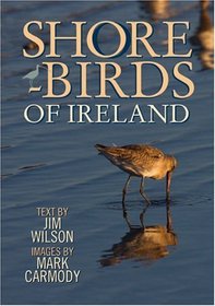 Shorebirds of Ireland