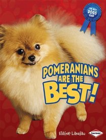 Pomeranians Are the Best! (The Best Dogs Ever)