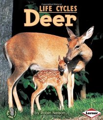 Deer (Animal Life Cycles)