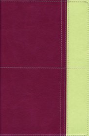 Zondervan TNIV Study Bible, Personal Size
