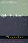 Split Horizon