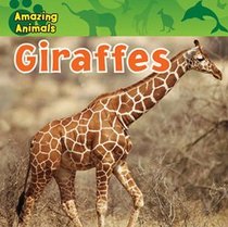 Giraffes (Amazing Animals)