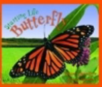 Starting Life : Butterfly