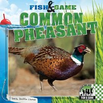 Common Pheasant (Fish & Game)