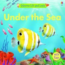 Under the Sea (Lift and Look)