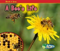 A Bee's Life (Acorn)