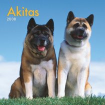 Akitas 2008 Square Wall Calendar (German, French, Spanish and English Edition)
