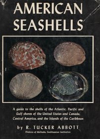 American Seashells