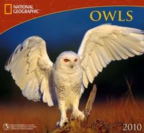 Owls - 2010 National Geographic Wall Calendar