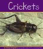 Crickets (Insects) (Insects (Mankato, Minn.).)