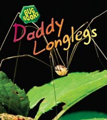 Daddy Longlegs (Heinemann First Library)