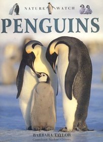 Penguins (Nature Watch (Lorenz))