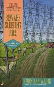 Beware Sleeping Dogs (Samantha Holt, Bk 3)