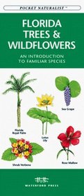 Florida Trees & Wildflowers: An Introduction to Familiar Species (Pocket Naturalist)