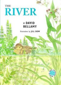 The River (Our Changing World Series)