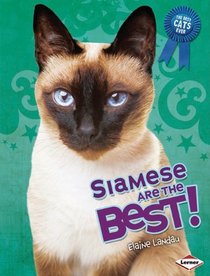 Siamese Are the Best! (The Best Cats Ever)