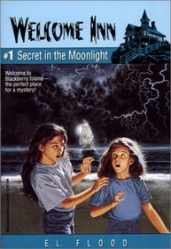 Secret in the Moonlight (Welcome Inn, #1)