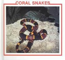Coral Snakes (Snake Discovery Library)
