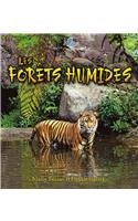 Les Forets Humides / Rainforest Food Chains (Petit Monde Vivant / Small Living World) (French Edition)