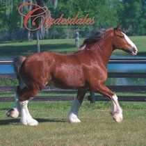 Clydesdales 2008 Square Wall Calendar (German, French, Spanish and English Edition)