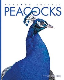 Peacocks (Amazing Animals)