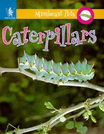Caterpillars (Minibeast Pets S.)