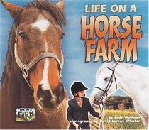 Life on a Horse Farm (Life on a Farm)