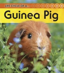 Guinea Pig: 2nd Edition (Life Cycle of a)