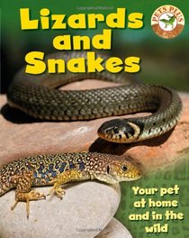 Lizards & Snakes (Pets Plus)