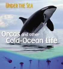Orca And Other Cold Ocean Creatures (Qeb Under the Sea)