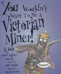 You Wouldn't Want to be a Victorian Miner (You Wouldn't Want to be...)