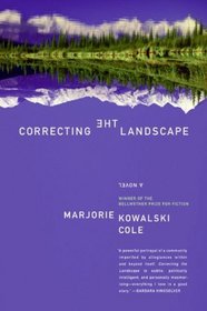 Correcting the Landscape: A Novel