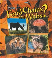 What Are Food Chains and Webs? (The Science of Living Things)