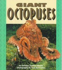 Giant Octopuses (Pull Ahead Books)