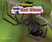 Deadly Black Widows (No Backbone! the World of Invertebrates)