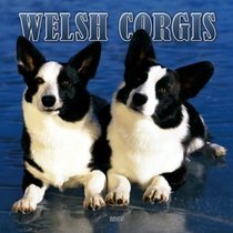 Welsh Corgis 2005 Wall Calendar