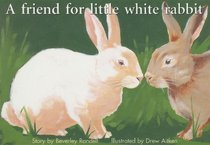 A Friend for Little White Rabbit (New PM Story Books)