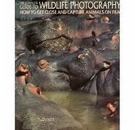 The Complete Guide to Wildlife Photography: How to Get Close and Capture Animals on Film