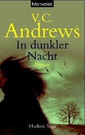 In Dunkler Nacht (Lightning Strikes) (Hudson, Bk 2) (German Edition)