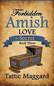 The Secret (Forbidden Amish Love)