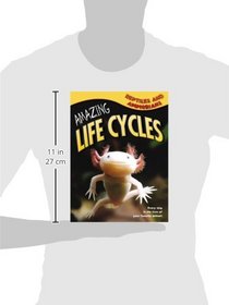 Reptiles & Amphibians (Amazing Life Cycles)
