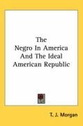 The Negro In America And The Ideal American Republic