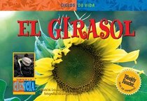 EL GIRASOL /SUNFLOWER (Life Cycles) (Spanish Edition)
