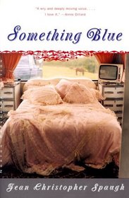 Something Blue: A Novel