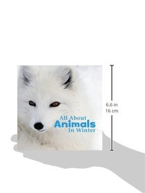 All About Animals in Winter (Celebrate Winter)