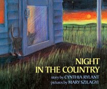 Night in the Country